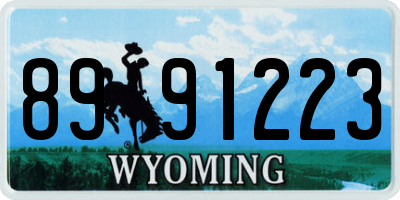 WY license plate 8991223