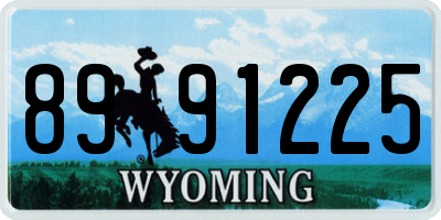 WY license plate 8991225