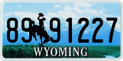 WY license plate 8991227