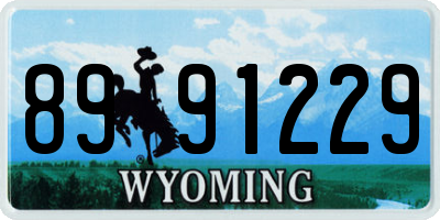 WY license plate 8991229