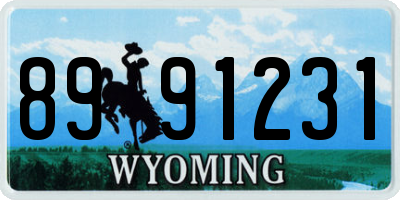 WY license plate 8991231