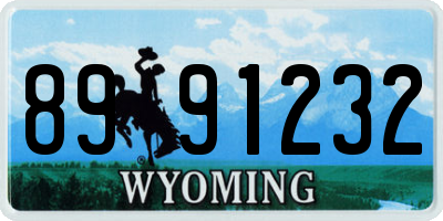 WY license plate 8991232