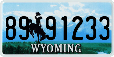 WY license plate 8991233