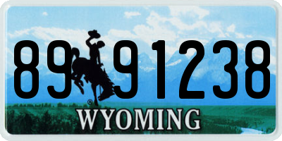 WY license plate 8991238
