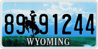 WY license plate 8991244