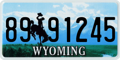 WY license plate 8991245