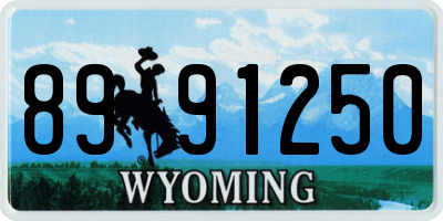 WY license plate 8991250