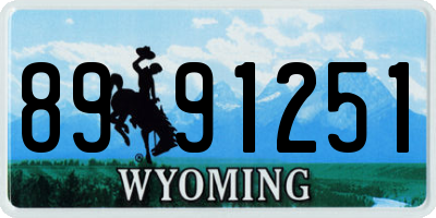 WY license plate 8991251