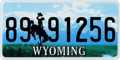 WY license plate 8991256