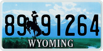 WY license plate 8991264