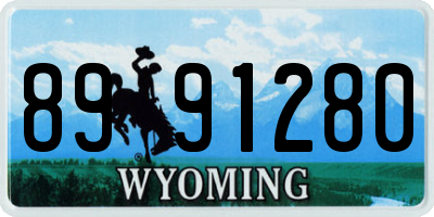 WY license plate 8991280