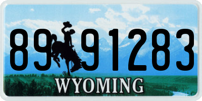 WY license plate 8991283