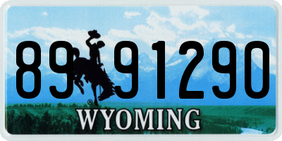 WY license plate 8991290