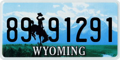 WY license plate 8991291