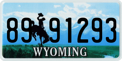 WY license plate 8991293