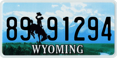 WY license plate 8991294