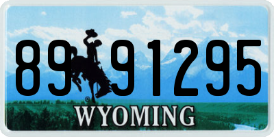 WY license plate 8991295