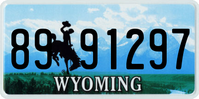 WY license plate 8991297