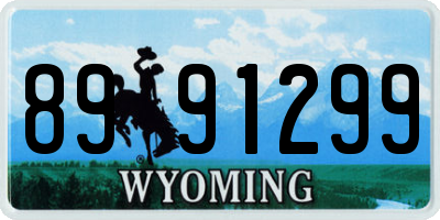 WY license plate 8991299