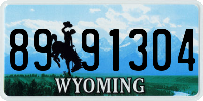 WY license plate 8991304