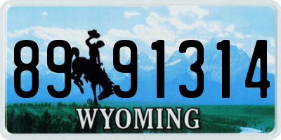 WY license plate 8991314