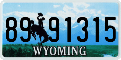 WY license plate 8991315