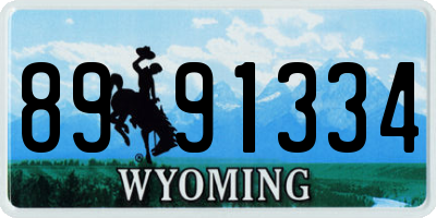 WY license plate 8991334