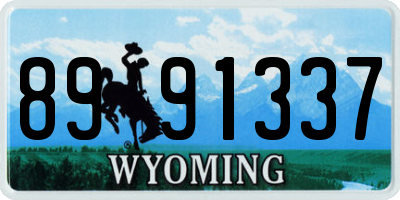WY license plate 8991337