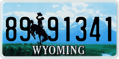WY license plate 8991341
