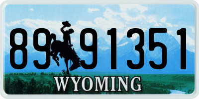 WY license plate 8991351