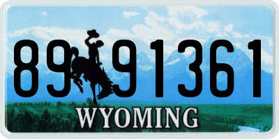 WY license plate 8991361