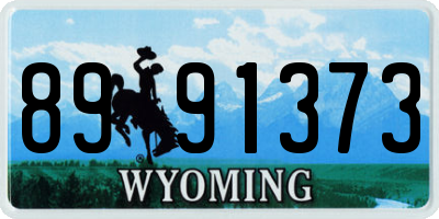 WY license plate 8991373