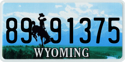 WY license plate 8991375