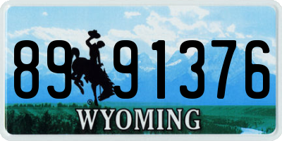 WY license plate 8991376