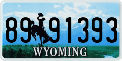 WY license plate 8991393