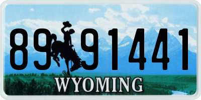 WY license plate 8991441