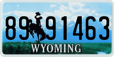 WY license plate 8991463