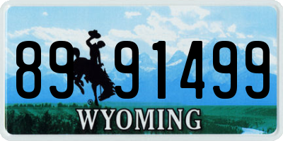 WY license plate 8991499