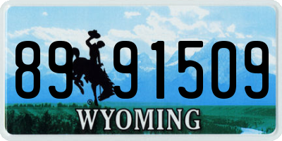 WY license plate 8991509