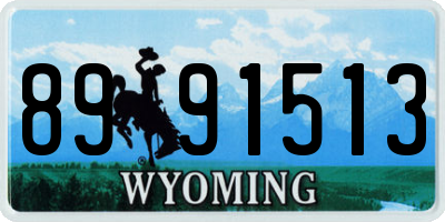WY license plate 8991513