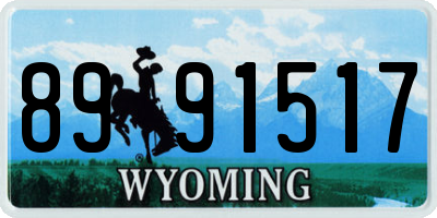 WY license plate 8991517