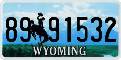WY license plate 8991532