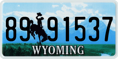 WY license plate 8991537