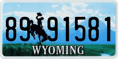 WY license plate 8991581