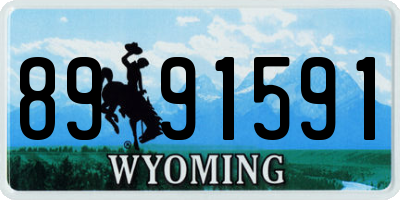 WY license plate 8991591