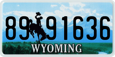 WY license plate 8991636