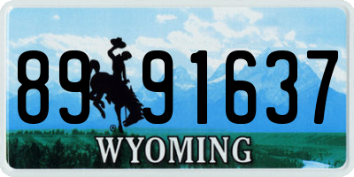 WY license plate 8991637