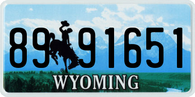 WY license plate 8991651