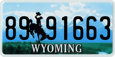 WY license plate 8991663
