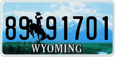 WY license plate 8991701